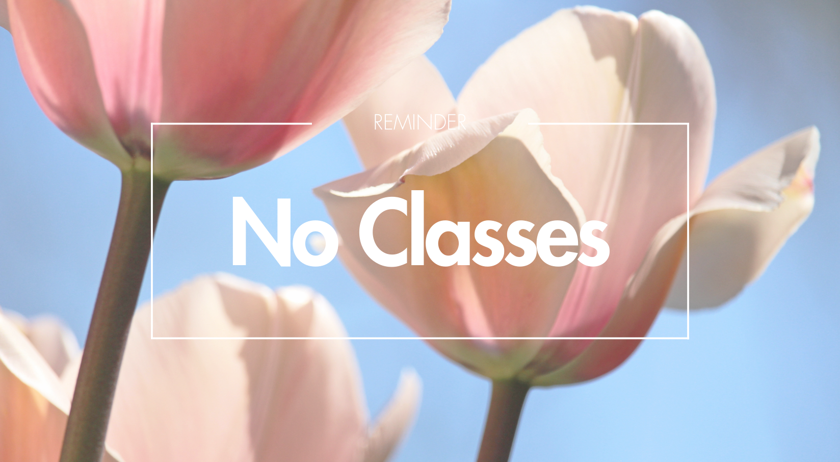 Non-Instructional Day | Abbotsford School District
