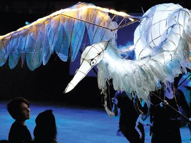 Image by Rachel Topham Photography ltd.