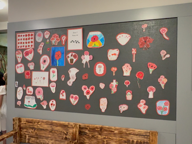 Display board featuring student-created red poppy artwork arranged in recognition of Remembrance Day.